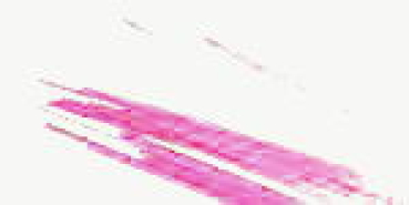 stringer von baoli in pink